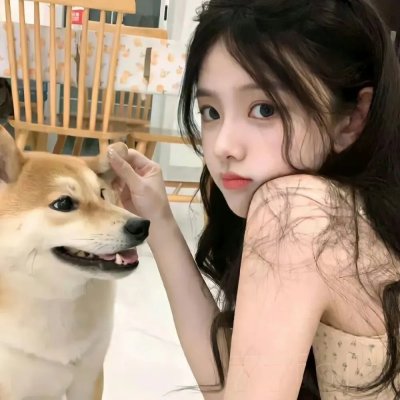 群鸟东径